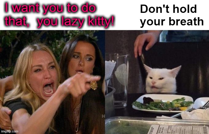 Woman Yelling At Cat Meme | I want you to do that,  you lazy kitty! Don't hold your breath | image tagged in memes,woman yelling at cat | made w/ Imgflip meme maker