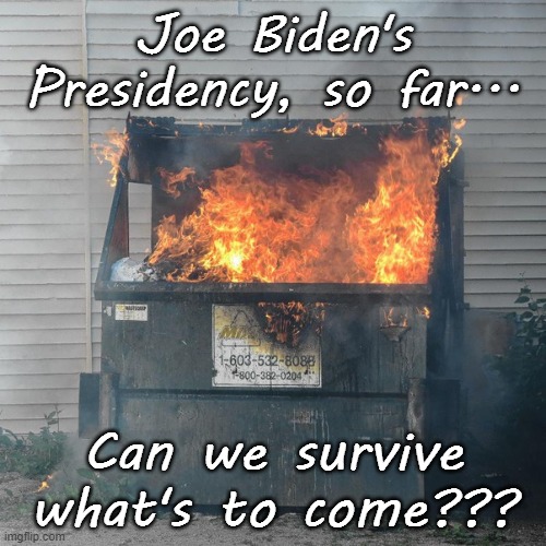 Can we survive??? | Joe Biden's Presidency, so far... Can we survive what's to come??? | image tagged in idiot,you know who i mean,doofus,survival | made w/ Imgflip meme maker