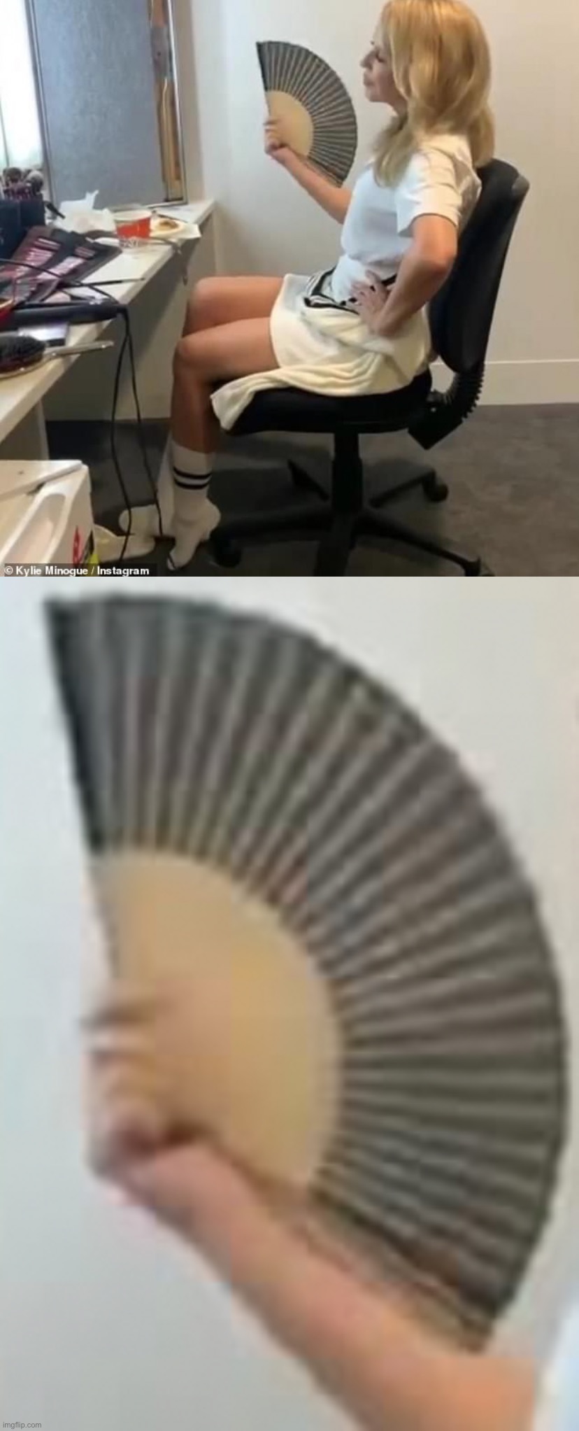 v rare face reveal | image tagged in kyliefan confirmed | made w/ Imgflip meme maker