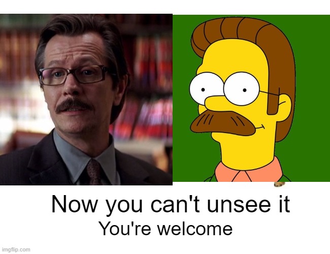 Recently rewatched Chris Nolan Batman trilogy and noticed this... | Now you can't unsee it; You're welcome | image tagged in ned flanders,commissioner gordon,gary oldman,christopher nolan,the dark knight,batman | made w/ Imgflip meme maker