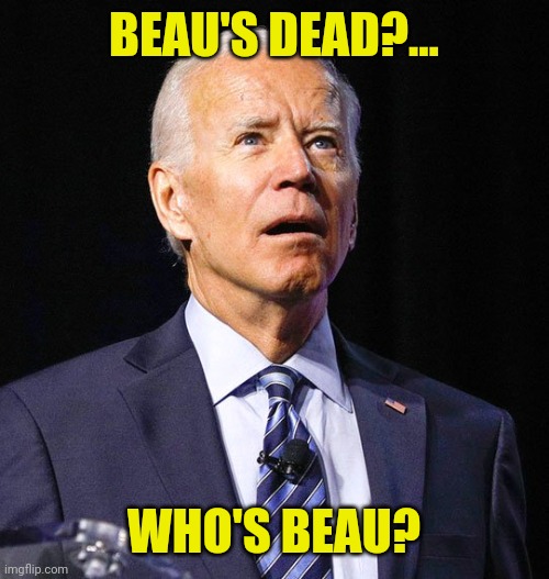 Joe Biden | BEAU'S DEAD?... WHO'S BEAU? | image tagged in joe biden | made w/ Imgflip meme maker