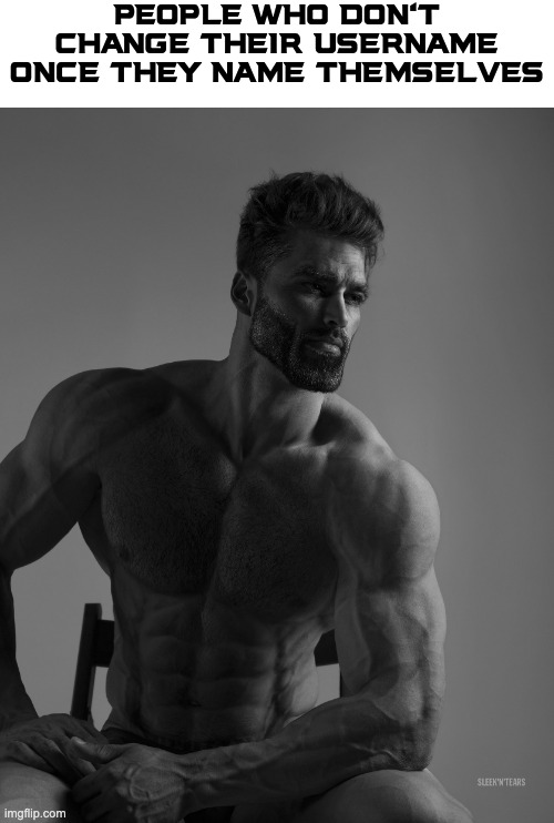 Giga Chad | PEOPLE WHO DON'T CHANGE THEIR USERNAME ONCE THEY NAME THEMSELVES | image tagged in giga chad,memes | made w/ Imgflip meme maker