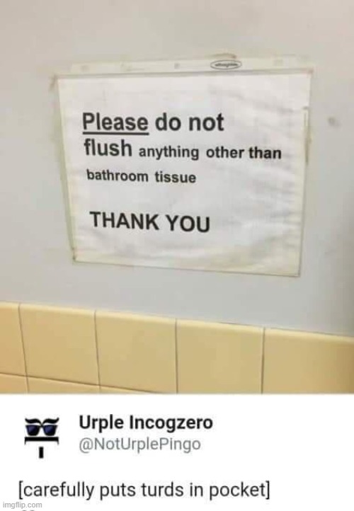 flush | made w/ Imgflip meme maker