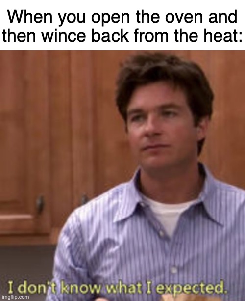 10-Foot Pole Required | When you open the oven and then wince back from the heat:; https://www.youtube.com/watch?v=ZqubZmhfpDs | image tagged in memes,oven,stupid people,arrested development | made w/ Imgflip meme maker