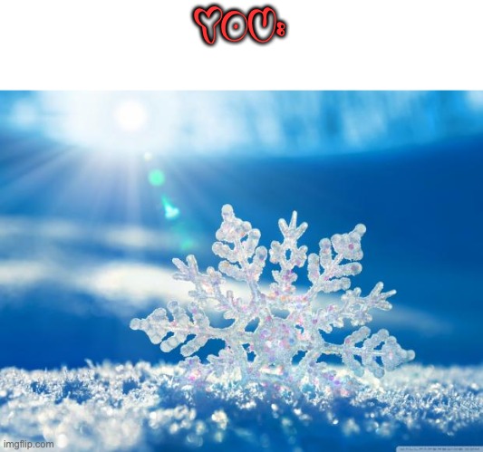 snowflake | YOU: | image tagged in snowflake | made w/ Imgflip meme maker