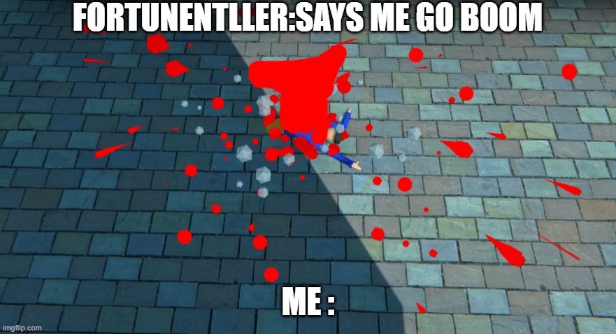 booom | FORTUNENTLLER:SAYS ME GO BOOM; ME : | image tagged in memes | made w/ Imgflip meme maker