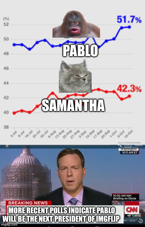in between shit post and light hearted joke | PABLO; SAMANTHA; MORE RECENT POLLS INDICATE PABLO WILL BE THE NEXT PRESIDENT OF IMGFLIP | image tagged in cnn breaking news template | made w/ Imgflip meme maker