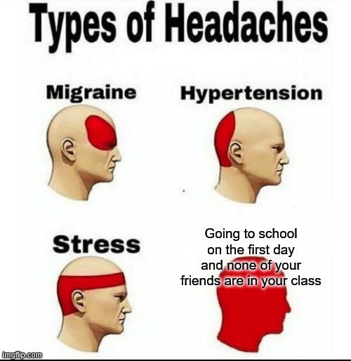 Types of Headaches meme | Going to school on the first day and none of your friends are in your class | image tagged in types of headaches meme | made w/ Imgflip meme maker
