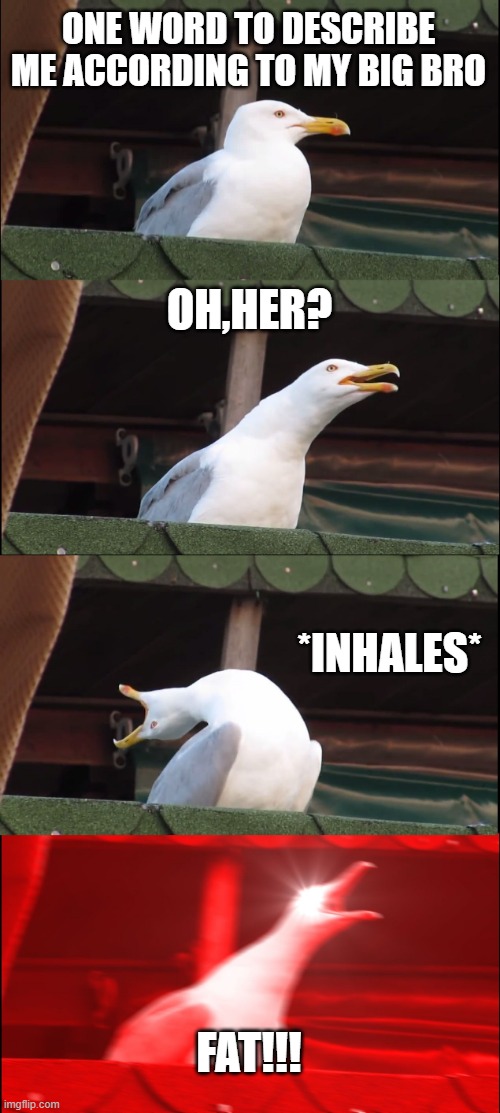 inhaling-seagull-meme-imgflip