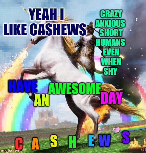 I spent too long on this | YEAH I LIKE CASHEWS; CRAZY
ANXIOUS 
SHORT
HUMANS 
EVEN
WHEN
SHY; AWESOME; HAVE; DAY; AN; S; E; S; H; W; C; A | image tagged in memes,welcome to the internets | made w/ Imgflip meme maker