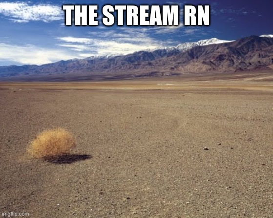 desert tumbleweed | THE STREAM RN | image tagged in desert tumbleweed | made w/ Imgflip meme maker
