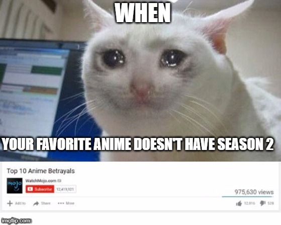 :( | WHEN; YOUR FAVORITE ANIME DOESN'T HAVE SEASON 2 | image tagged in sad | made w/ Imgflip meme maker