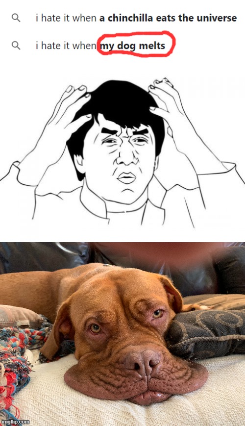 oof melted dog | image tagged in memes,jackie chan wtf,dog,melting,funny | made w/ Imgflip meme maker