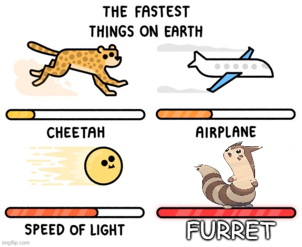 the fastest furret | FURRET | image tagged in fastest thing possible | made w/ Imgflip meme maker