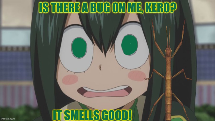 IS THERE A BUG ON ME, KERO? IT SMELLS GOOD! | made w/ Imgflip meme maker