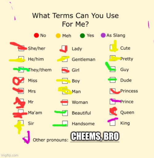 Pronouns Sheet | CHEEMS, BRO | image tagged in pronouns sheet | made w/ Imgflip meme maker