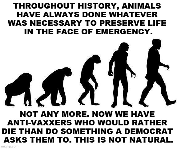 Life is sacred, right? | THROUGHOUT HISTORY, ANIMALS 
HAVE ALWAYS DONE WHATEVER 
WAS NECESSARY TO PRESERVE LIFE 
IN THE FACE OF EMERGENCY. NOT ANY MORE. NOW WE HAVE 
ANTI-VAXXERS WHO WOULD RATHER 
DIE THAN DO SOMETHING A DEMOCRAT 
ASKS THEM TO. THIS IS NOT NATURAL. | image tagged in human evolution,anti vax,insane | made w/ Imgflip meme maker