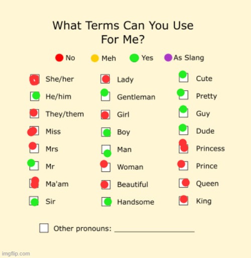 yeet | image tagged in pronouns sheet | made w/ Imgflip meme maker