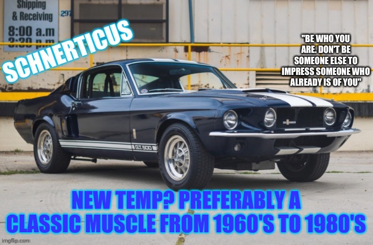 schnerticus temp | NEW TEMP? PREFERABLY A CLASSIC MUSCLE FROM 1960'S TO 1980'S | image tagged in schnerticus temp | made w/ Imgflip meme maker