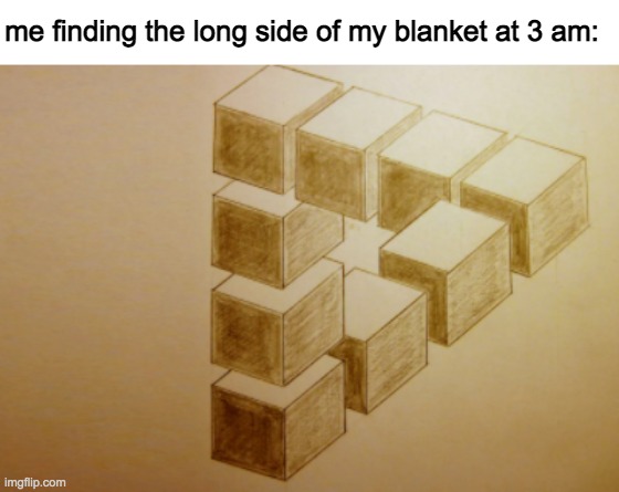 relatable? | me finding the long side of my blanket at 3 am: | image tagged in illusion,memes,relatable | made w/ Imgflip meme maker