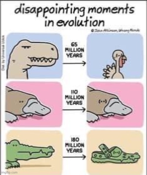 Disappointing Moments in evolution | image tagged in disappointing moments in evolution | made w/ Imgflip meme maker