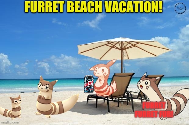 Furret vacation! | FURRET BEACH VACATION! FURRET FURRET FUR! | image tagged in beach,vacation,furret,pokemon,anime | made w/ Imgflip meme maker
