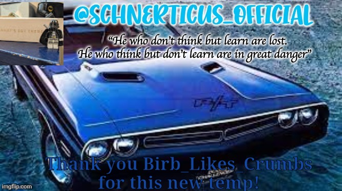 Schnerticus temp 2 | Thank you Birb_Likes_Crumbs for this new temp! | image tagged in schnerticus temp 2 | made w/ Imgflip meme maker