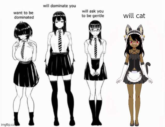 idfk | will cat | image tagged in domination stats | made w/ Imgflip meme maker