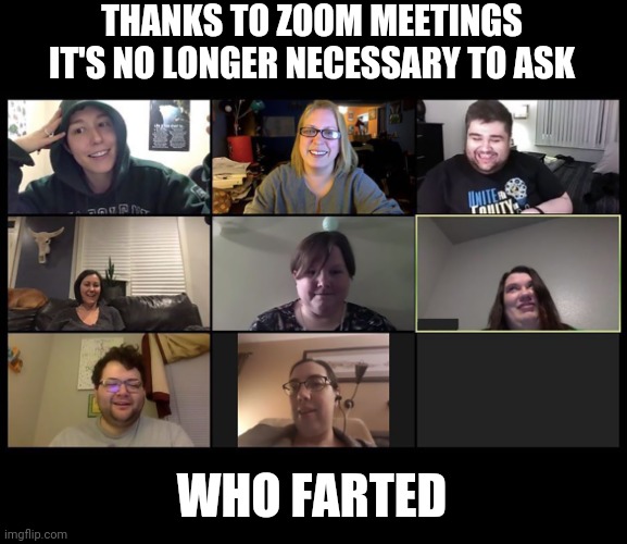 Wasn't me | THANKS TO ZOOM MEETINGS IT'S NO LONGER NECESSARY TO ASK; WHO FARTED | image tagged in zoom,fart,fart jokes | made w/ Imgflip meme maker
