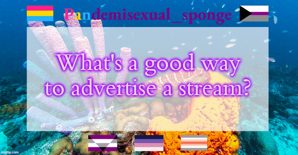 Pandemisexual_sponge temp | What's a good way to advertise a stream? | image tagged in pandemisexual_sponge temp,demisexual_sponge | made w/ Imgflip meme maker