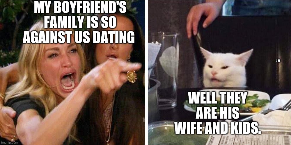 Smudge the cat | MY BOYFRIEND'S FAMILY IS SO AGAINST US DATING; WELL THEY ARE HIS WIFE AND KIDS. J M | image tagged in smudge the cat | made w/ Imgflip meme maker