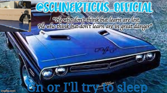 Schnerticus temp 2 | Gn or I'll try to sleep | image tagged in schnerticus temp 2 | made w/ Imgflip meme maker