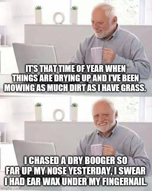 Now THAT'S dry! | IT'S THAT TIME OF YEAR WHEN THINGS ARE DRYING UP AND I'VE BEEN MOWING AS MUCH DIRT AS I HAVE GRASS. I CHASED A DRY BOOGER SO FAR UP MY NOSE YESTERDAY, I SWEAR I HAD EAR WAX UNDER MY FINGERNAIL. | image tagged in memes,hide the pain harold,dry,mowing,boogers,sarcastic | made w/ Imgflip meme maker
