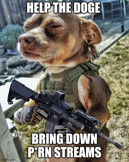 help him | HELP THE DOGE; BRING DOWN P*RN STREAMS | image tagged in dog,gun | made w/ Imgflip meme maker