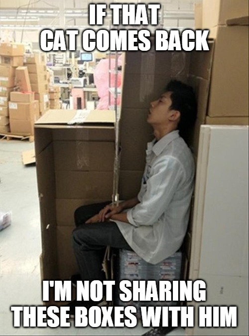 IF THAT CAT COMES BACK; I'M NOT SHARING THESE BOXES WITH HIM | image tagged in meme,memes | made w/ Imgflip meme maker