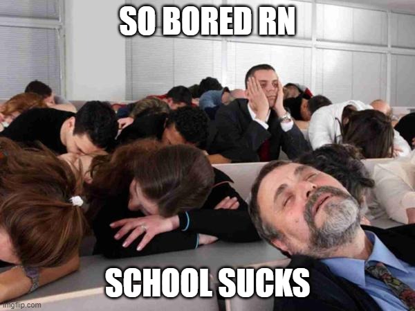 BORING | SO BORED RN; SCHOOL SUCKS | image tagged in boring | made w/ Imgflip meme maker