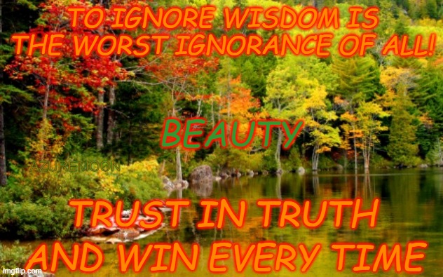 TRUST THE TRUTH | TO IGNORE WISDOM IS THE WORST IGNORANCE OF ALL! BEAUTY; AZUREMOON; TRUST IN TRUTH; AND WIN EVERY TIME | image tagged in ol' reliable,truth,beauty,trust,winning,inspirational memes | made w/ Imgflip meme maker