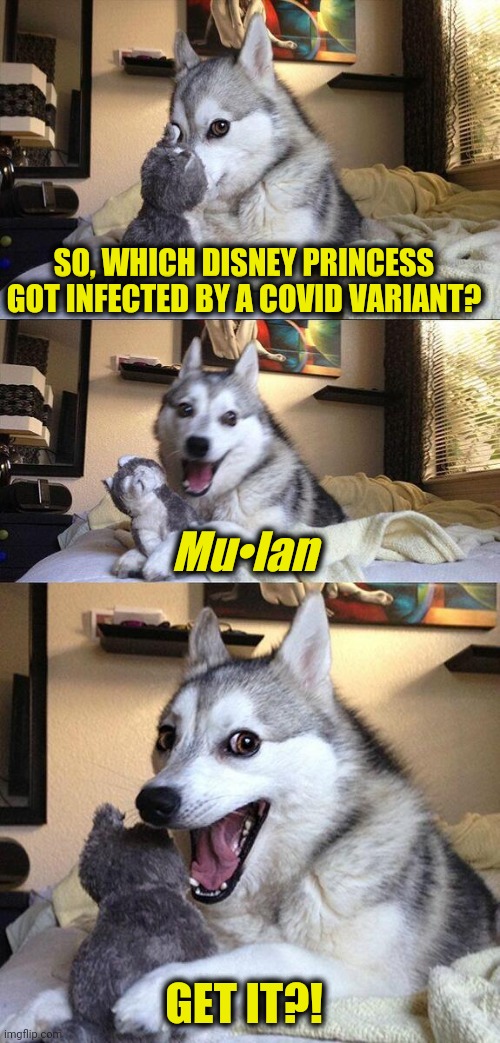 Brosef 19 | SO, WHICH DISNEY PRINCESS GOT INFECTED BY A COVID VARIANT? Mu•lan; GET IT?! | image tagged in memes,bad pun dog | made w/ Imgflip meme maker