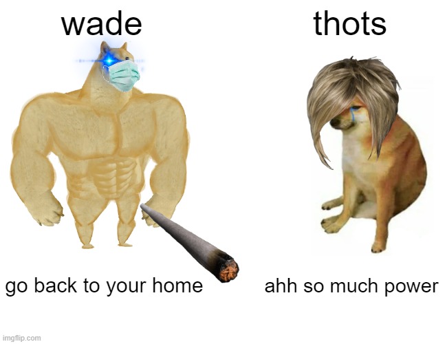 Buff Doge vs. Cheems | wade; thots; go back to your home; ahh so much power | image tagged in memes,buff doge vs cheems | made w/ Imgflip meme maker