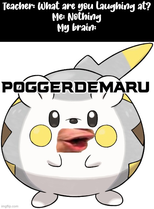 P O G | Teacher: What are you laughing at?
Me: Nothing
My brain:; POGGERDEMARU | image tagged in togedemaru,pokemon | made w/ Imgflip meme maker