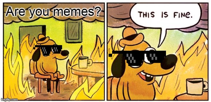 Fines | Are you memes? | image tagged in memes,this is fine | made w/ Imgflip meme maker