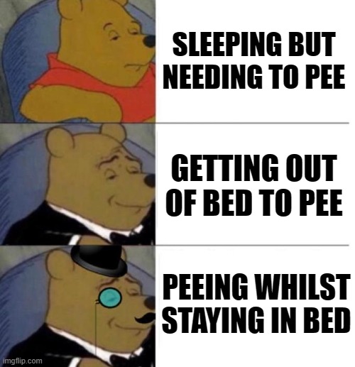 Tuxedo Winnie the Pooh (3 panel) | SLEEPING BUT NEEDING TO PEE; GETTING OUT OF BED TO PEE; PEEING WHILST STAYING IN BED | image tagged in tuxedo winnie the pooh 3 panel,memes | made w/ Imgflip meme maker