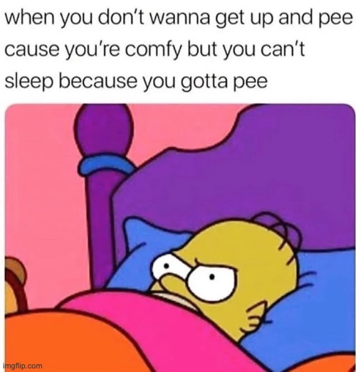 WHEN YOU DON'T WANNA GET UP AND PEE CAUSE YOU'RE COMFY BUT YOU CAN'T SLEEP BECAUSE YOU GOTTA PEE | image tagged in memes,pee,bed | made w/ Imgflip meme maker