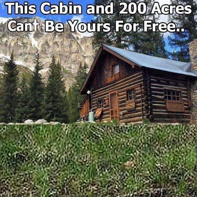 this cabin and 200 acres Blank Meme Template