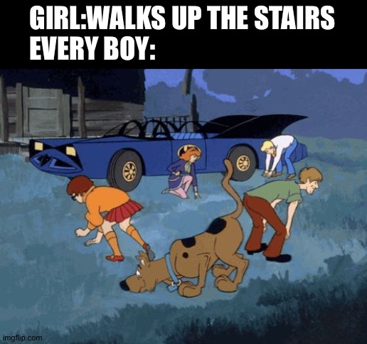 RISE OF THE TMNT | GIRL:WALKS UP THE STAIRS
EVERY BOY: | image tagged in scooby doo search | made w/ Imgflip meme maker
