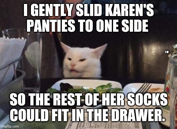 Salad cat | I GENTLY SLID KAREN'S PANTIES TO ONE SIDE; J M; SO THE REST OF HER SOCKS COULD FIT IN THE DRAWER. | image tagged in salad cat | made w/ Imgflip meme maker
