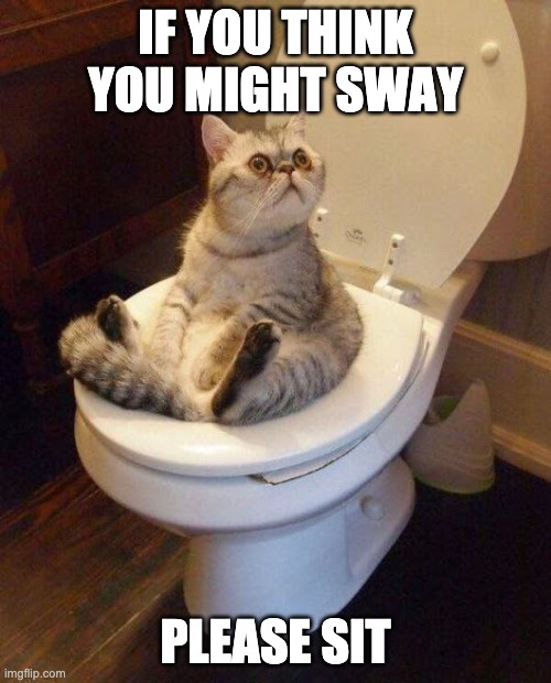 Toilet posters i need pt1 | IF YOU THINK YOU MIGHT SWAY; PLEASE SIT | image tagged in cat sitting on toilet | made w/ Imgflip meme maker