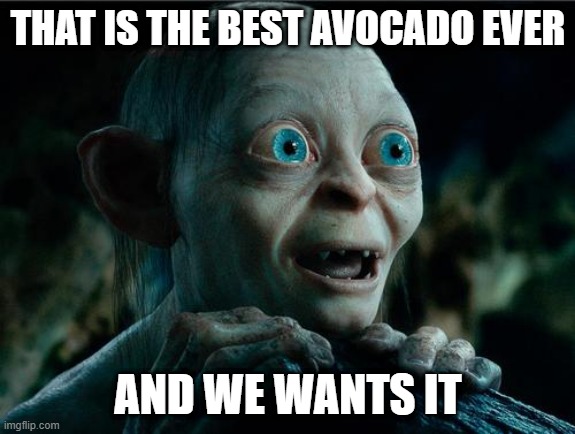 Happy Smeagol | THAT IS THE BEST AVOCADO EVER AND WE WANTS IT | image tagged in happy smeagol | made w/ Imgflip meme maker
