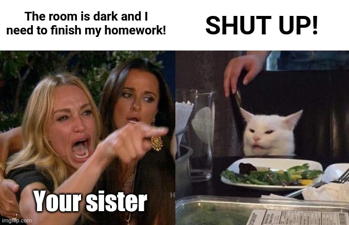 Woman Yelling At Cat Meme | The room is dark and I need to finish my homework! SHUT UP! Your sister | image tagged in memes,woman yelling at cat | made w/ Imgflip meme maker
