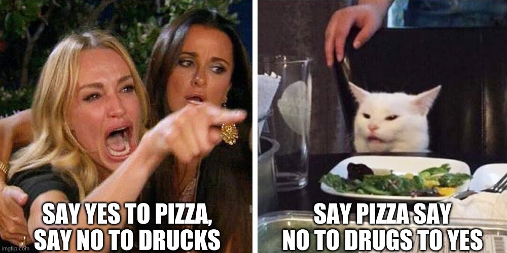 Smudge the cat | SAY YES TO PIZZA, SAY NO TO DRUCKS SAY PIZZA SAY NO TO DRUGS TO YES | image tagged in smudge the cat | made w/ Imgflip meme maker